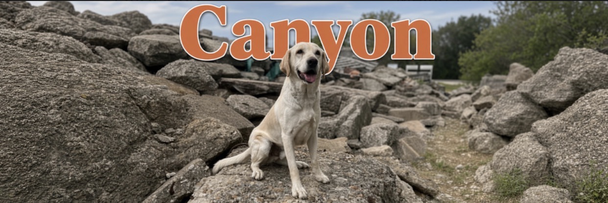 Canyon (DOG) logo