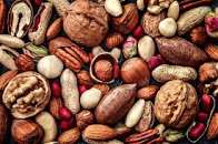 Nuts (NUTS) logo